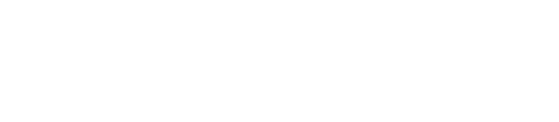 texas_white_logo